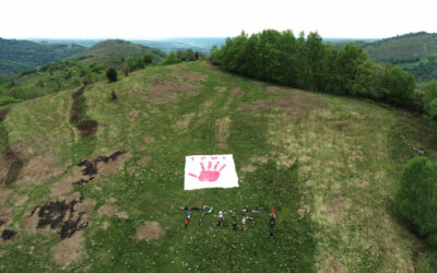 Victoire contre l’implementation d’une méga-scierie dans les Pyrénées