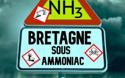 Bretagne sous ammoniac – partie 1