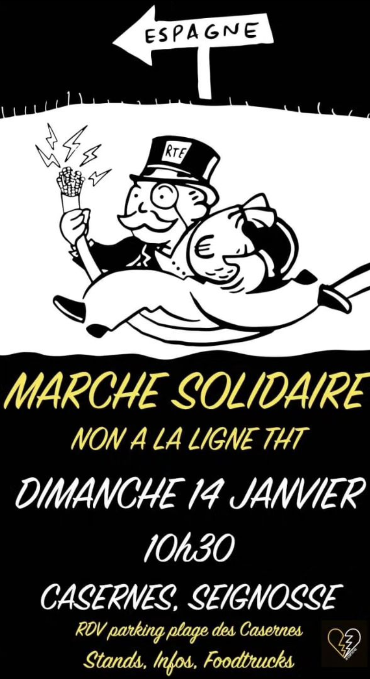 marche solidaire contre la ligne tht 14 janvier seignosse