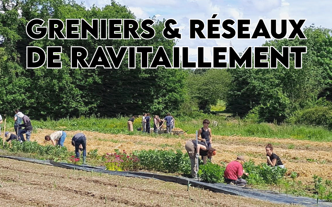 Webinaire – Greniers et réseaux de ravitaillement