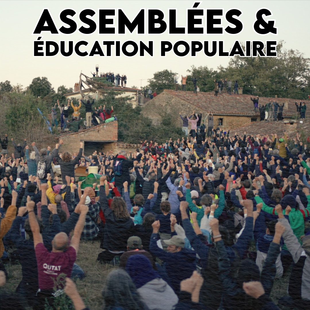 webinaire assemblées et éducation populaire